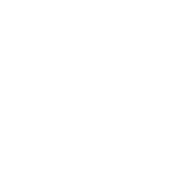 BRAND MINDS logo alb 600x600 1 -